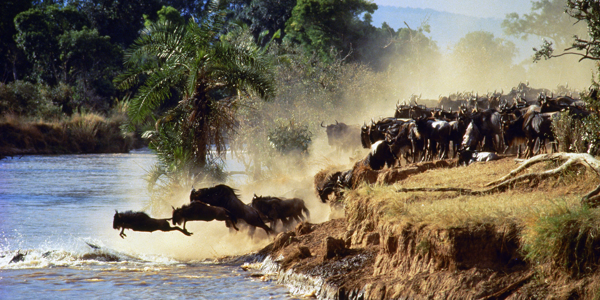 3 days masai mara safari, 3 Days 2 Nights Maasai Mara