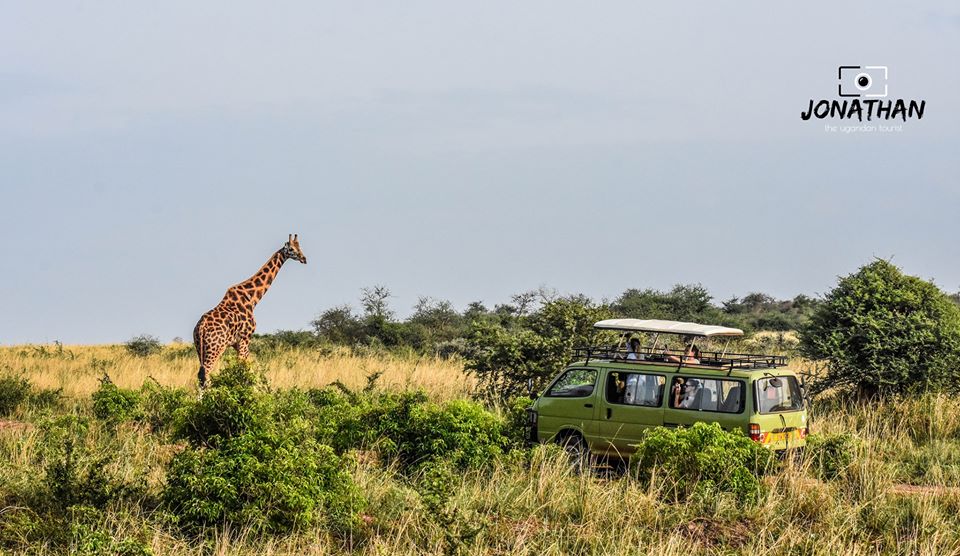 18 days Uganda Safari, Primates tracking, Big 5 Africa Safari