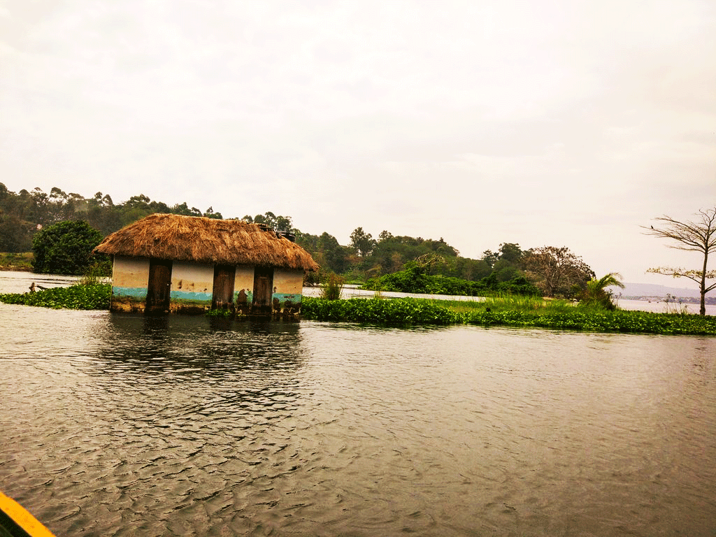 River Nile Lake Albert Delta Murchison falls National Park
