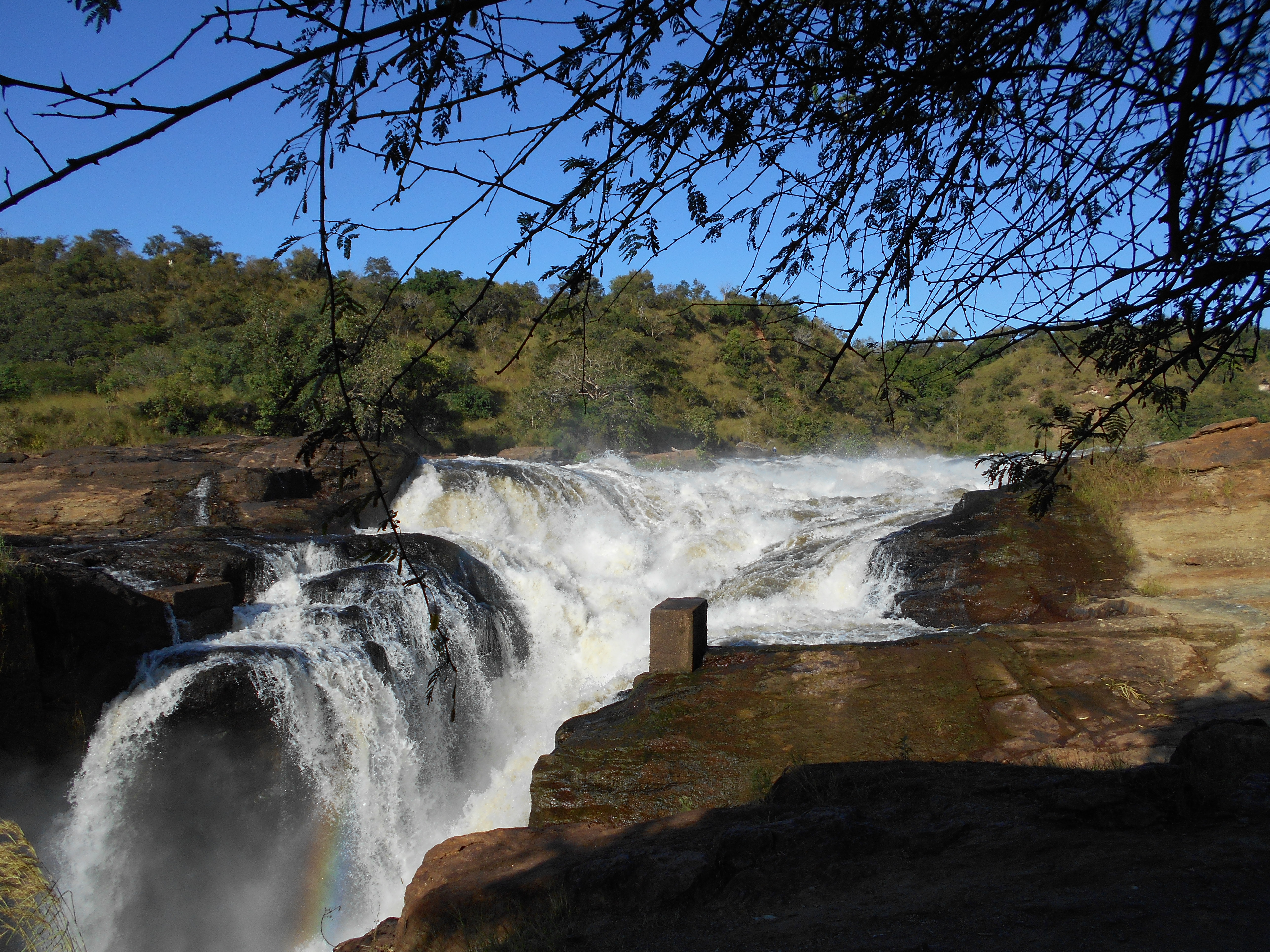 What to do and See Murchison falls National Park Activities