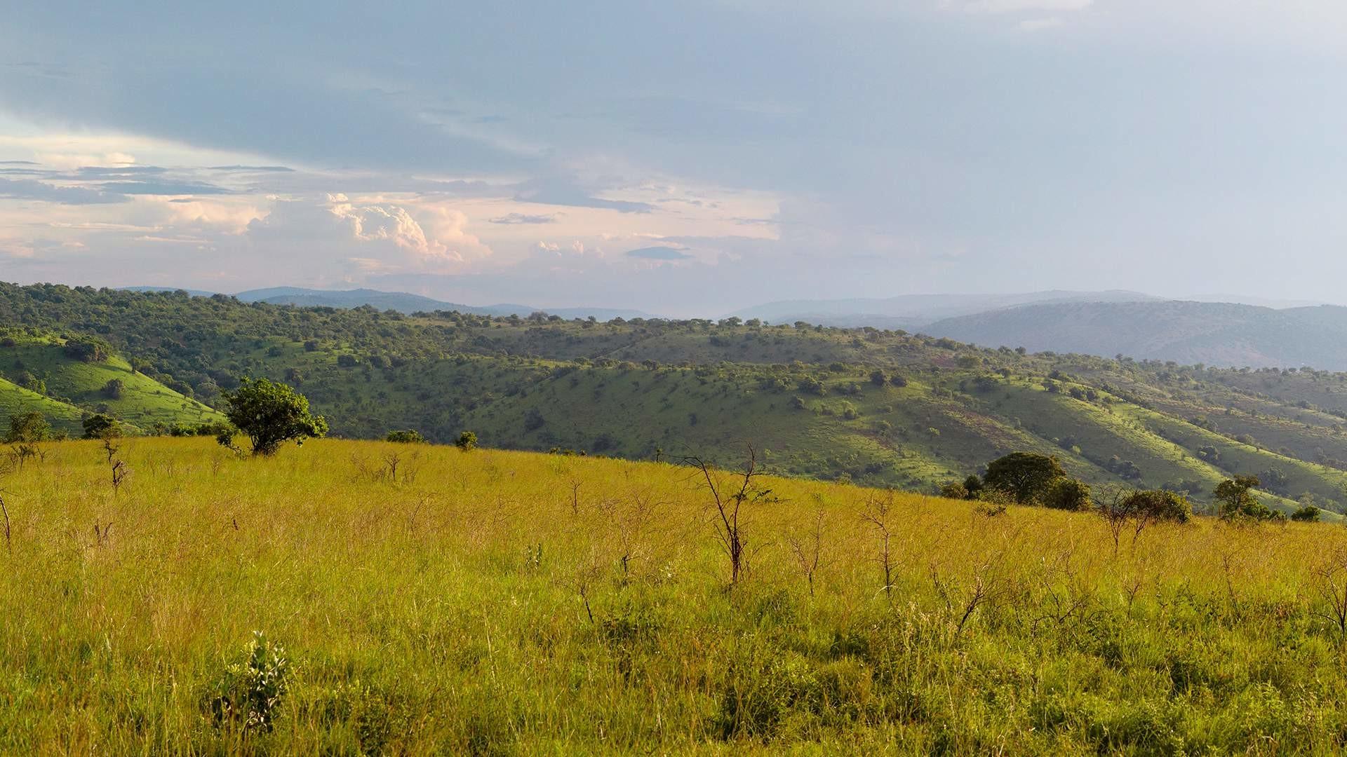 2 Days Akagera National Park, Rwanda Holiday Destinations