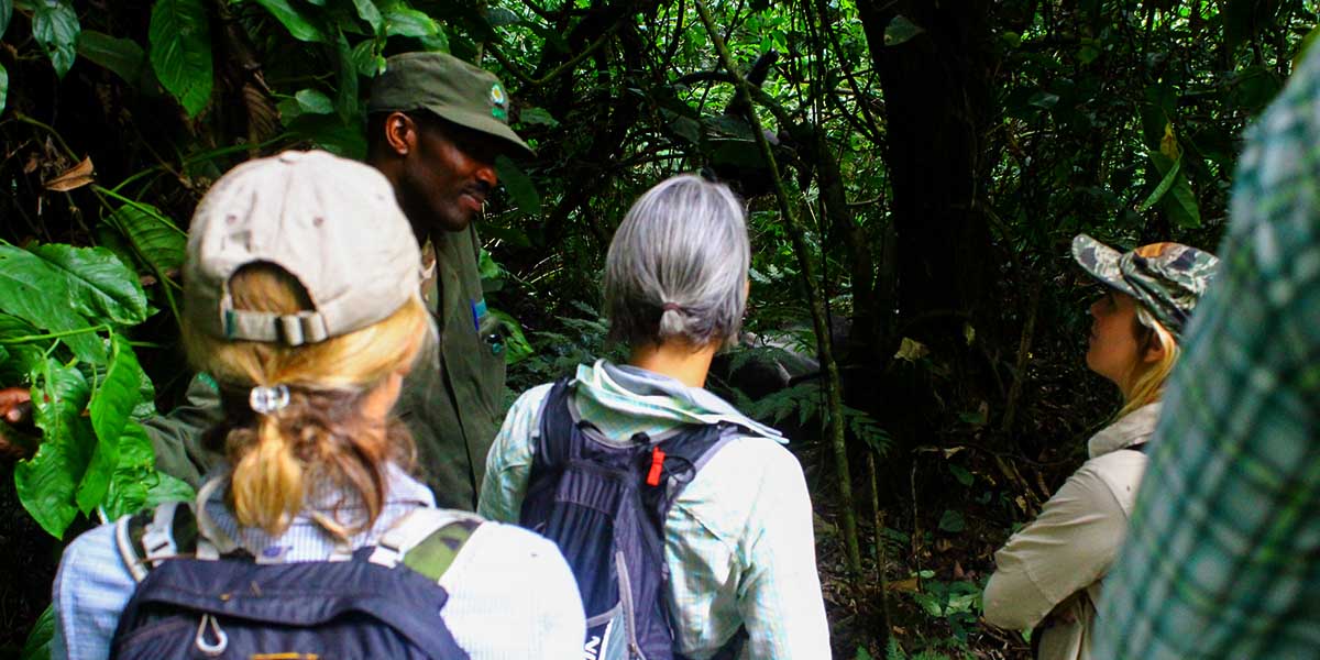 3 days Gorilla tracking Bwindi