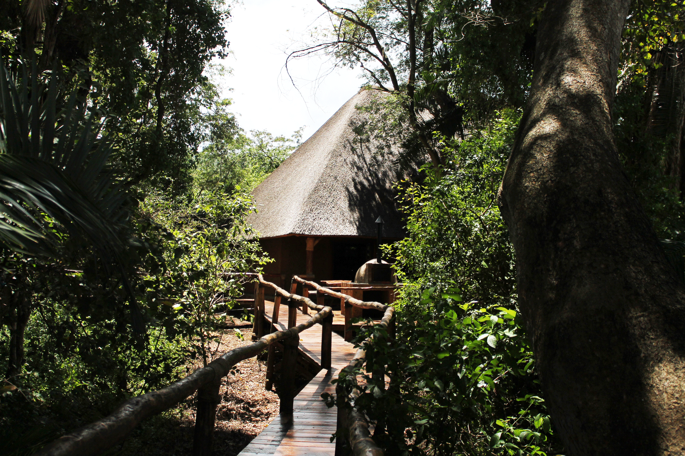 Akagera National Park Rwanda Wildlife