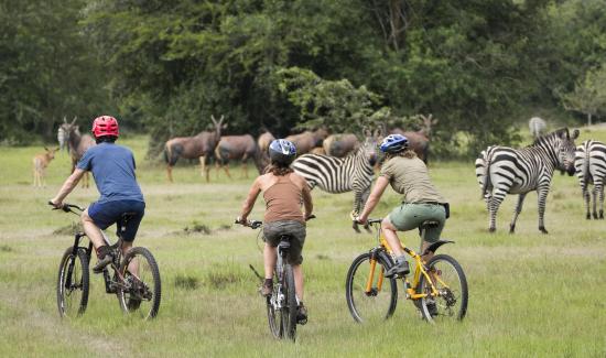 Bicycling Safaris Mburo National Park Uganda