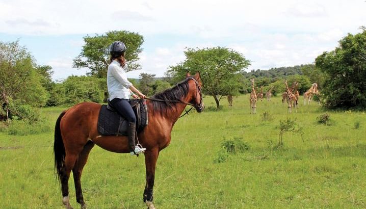 Horse riding lake Mburo national park