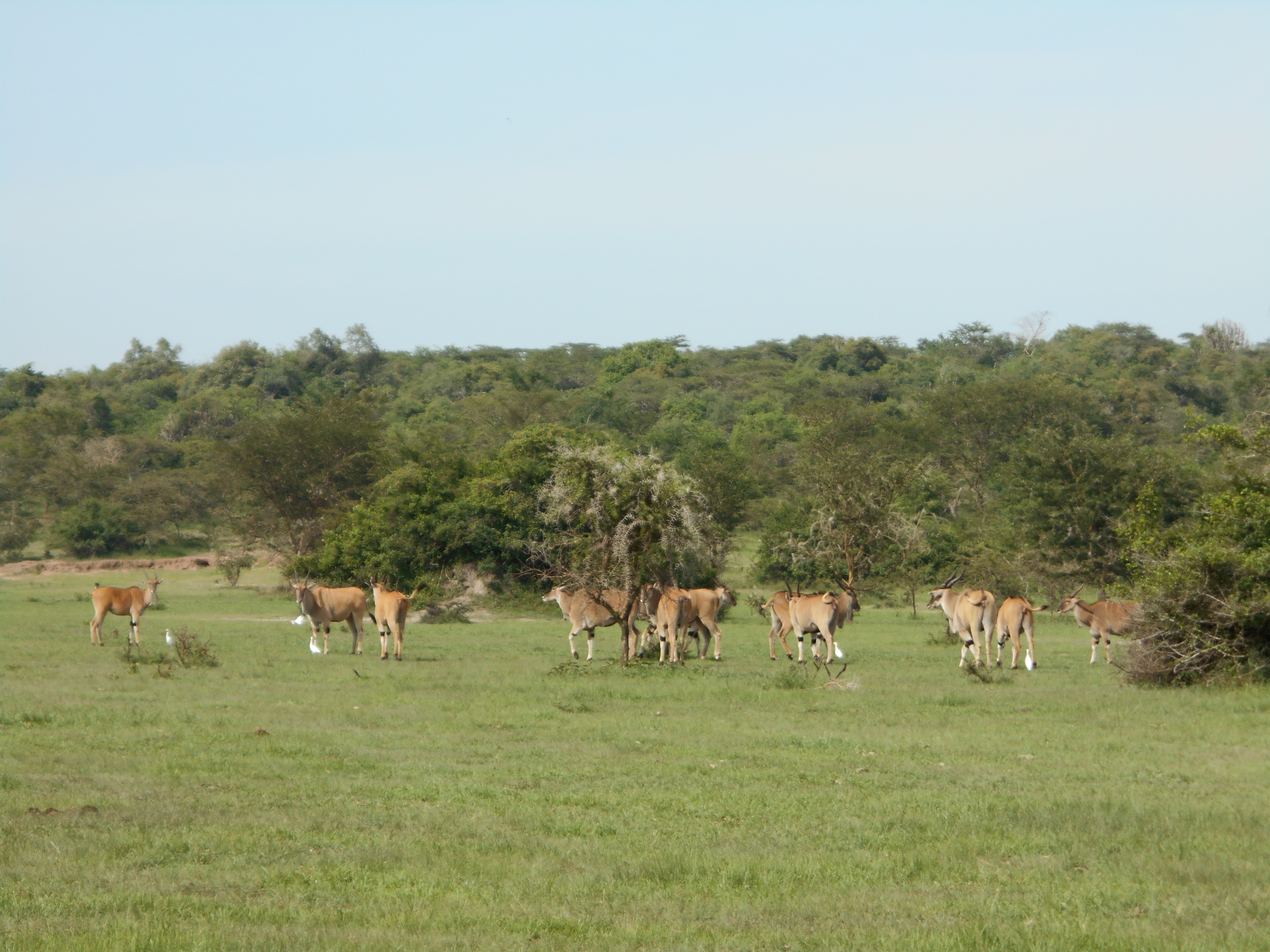 Kidepo Valley National Park