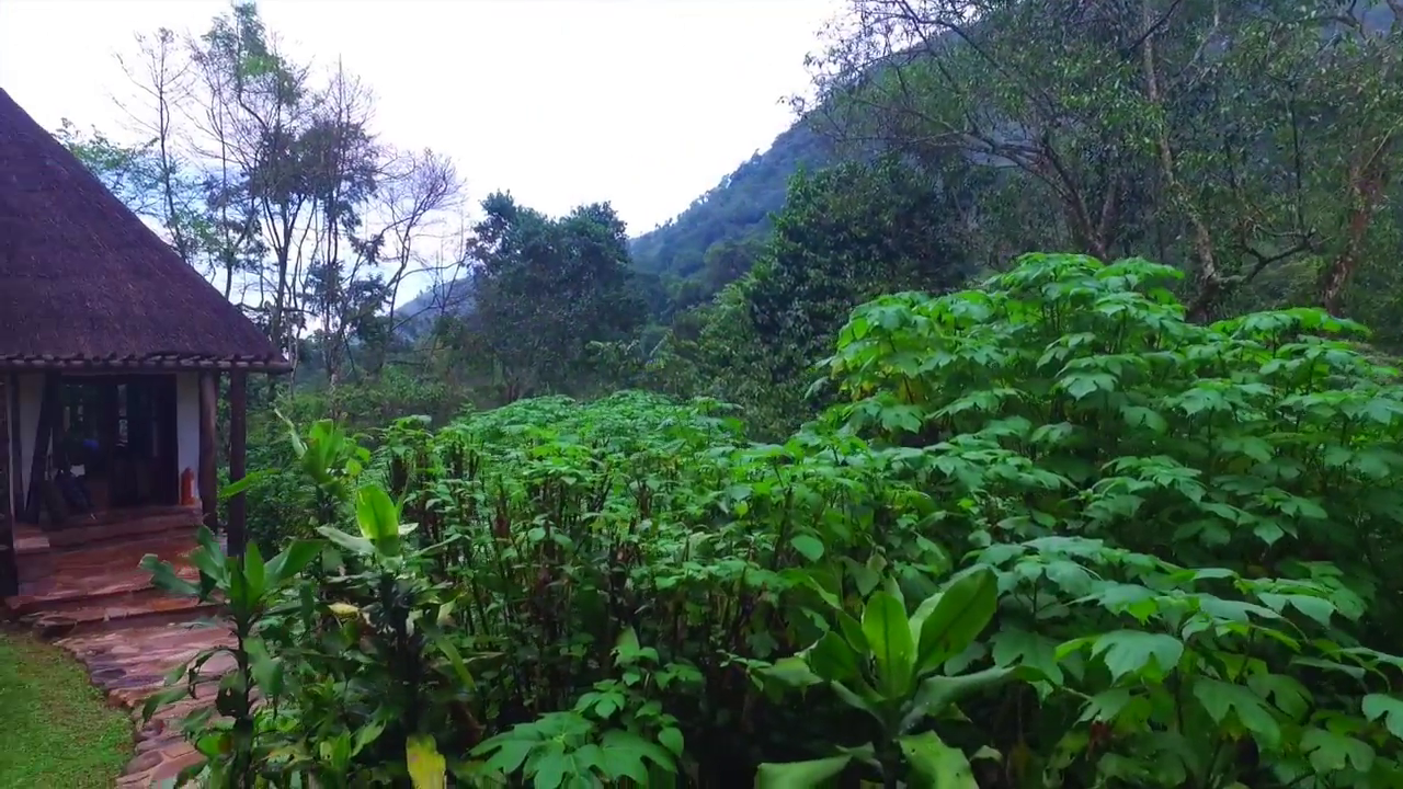 Mgahinga National Park Uganda Wildlife