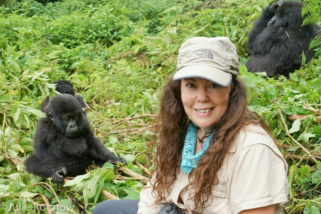 Mountain Gorilla trekking Uganda and Rwanda