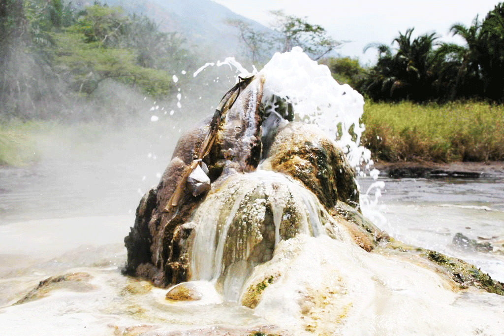 Semuliki National Park Uganda Wildlife