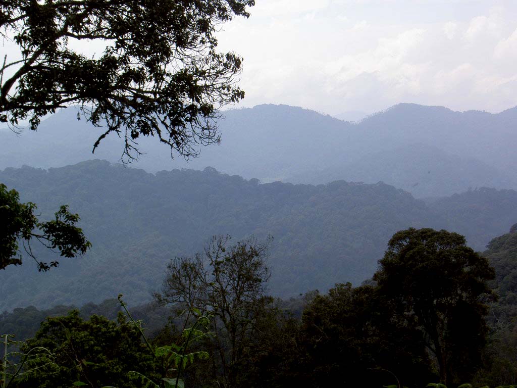 What to do and see in virunga Mountain Ranges