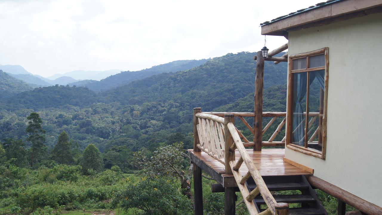 bwindi-gorilla-havens-lodge
