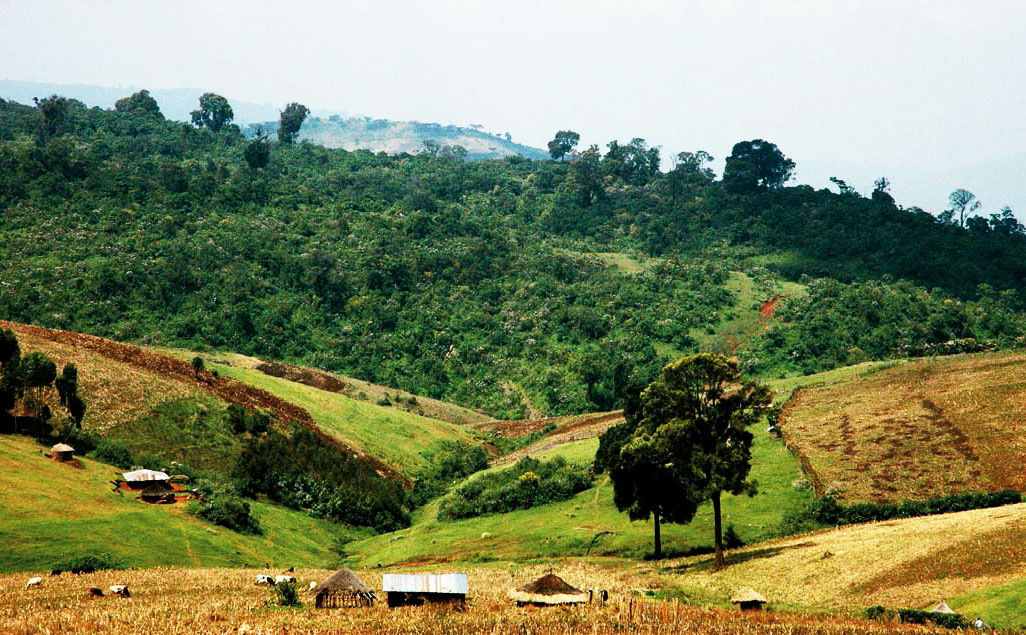 Mountain Elgon Volcano Uganda, Mountain Hiking
