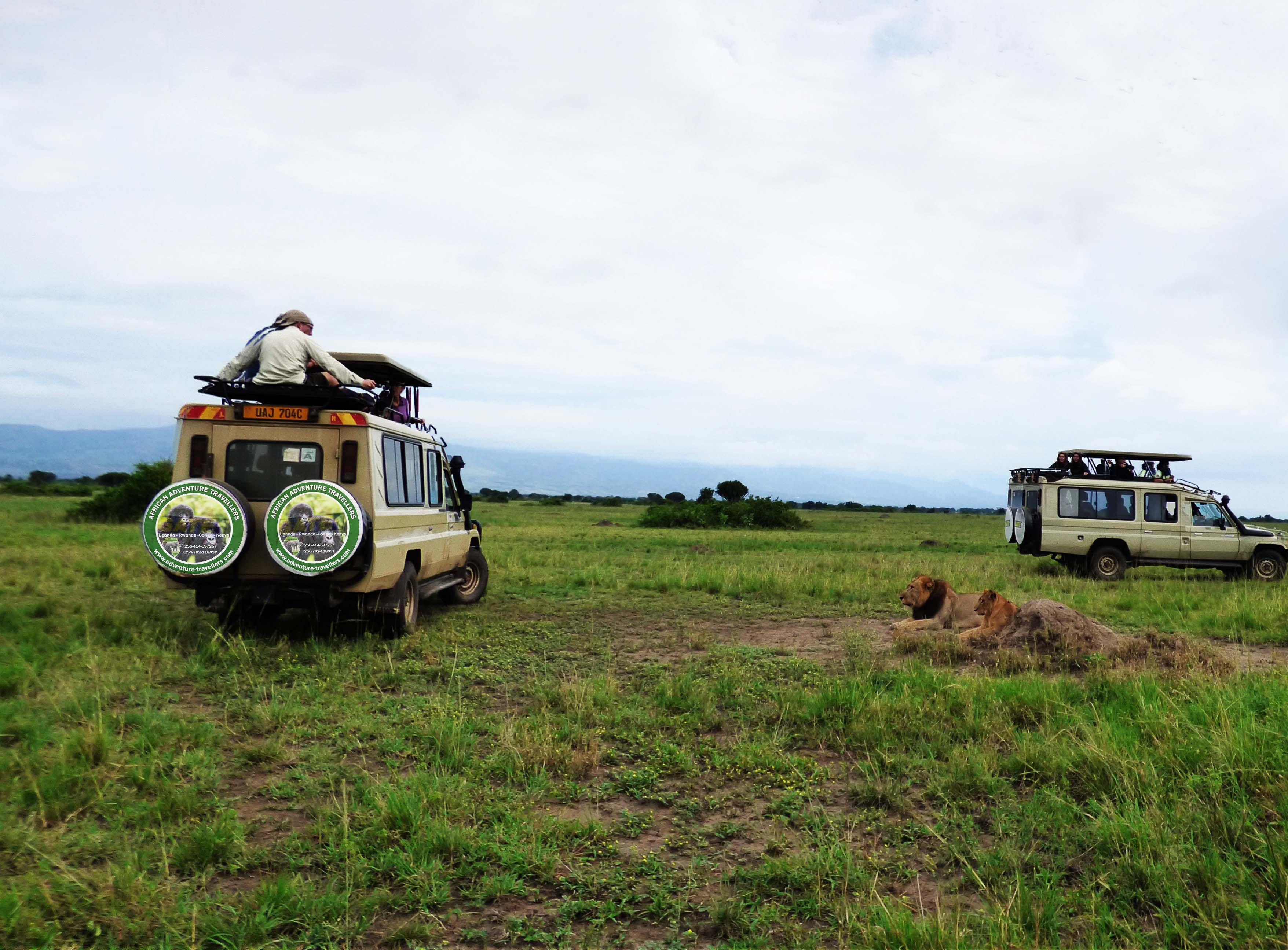 5 days Uganda Safari, Chimpanzee tracking, Queen Elizabeth National Park