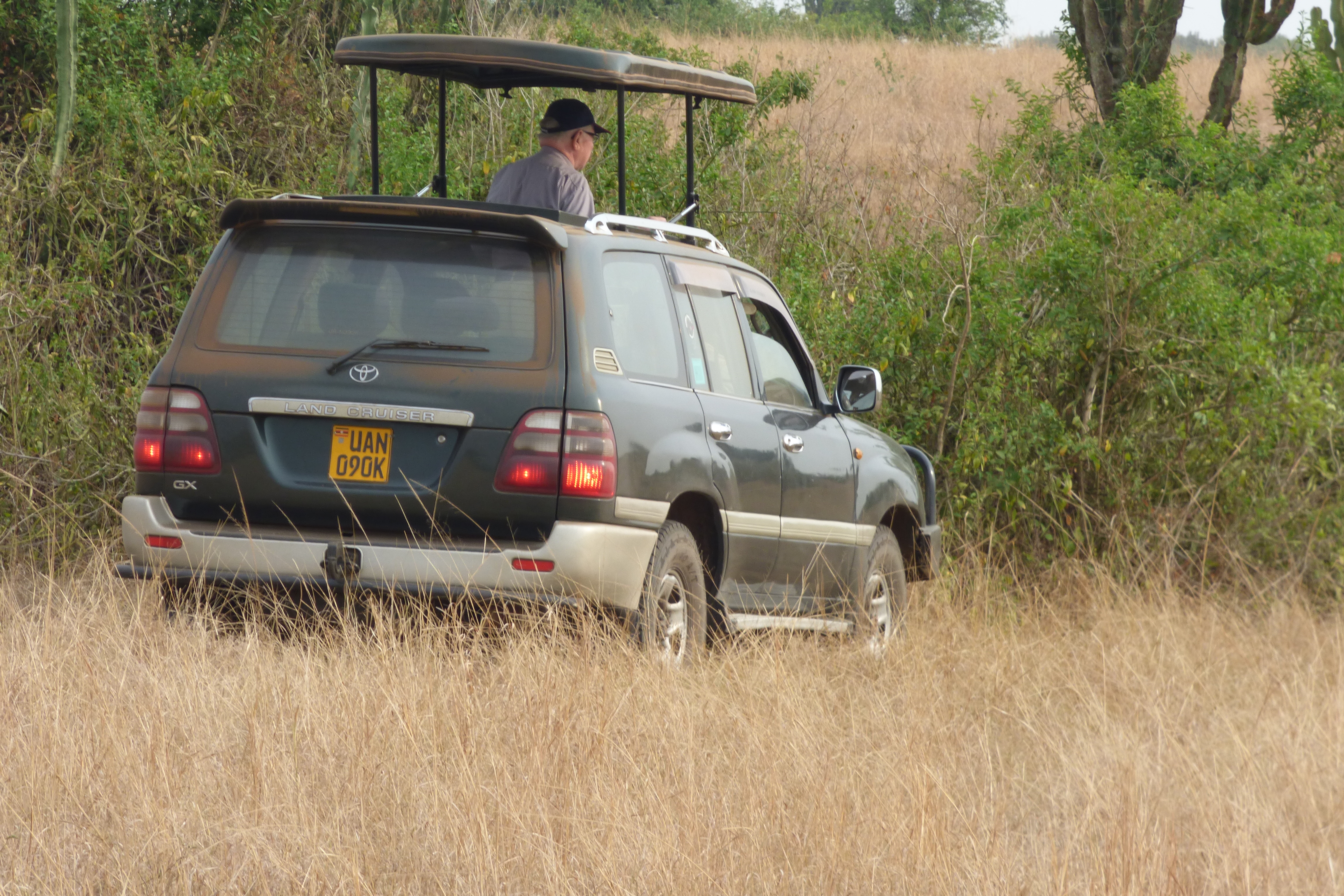 9 days Uganda Safari with Primates tracking