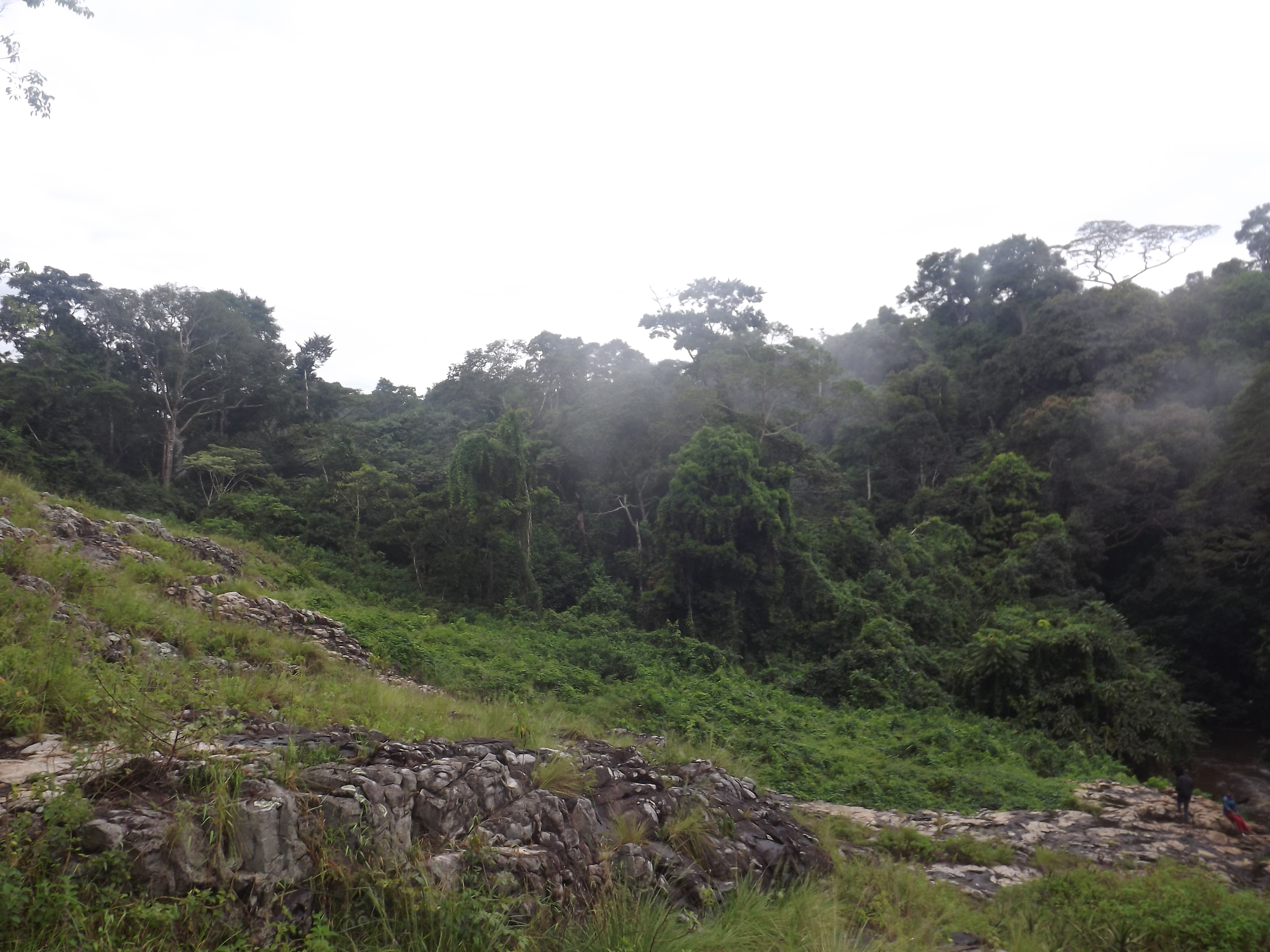 Mabira Central Forest Reserve, Getting there, What to do